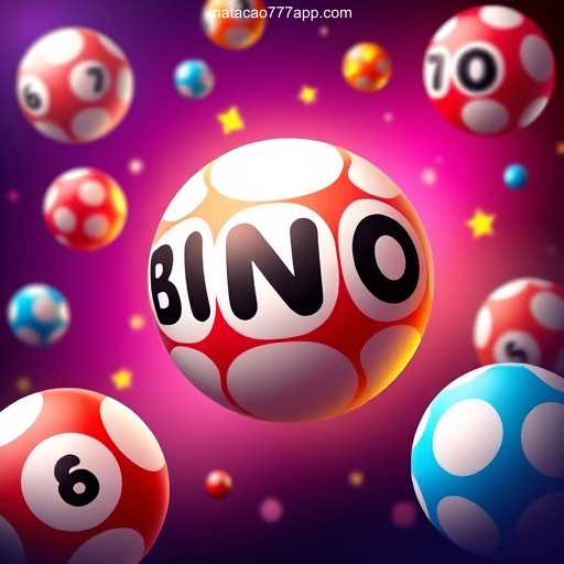 Exploring the Thrills of Bingo Games with Natacao777.com