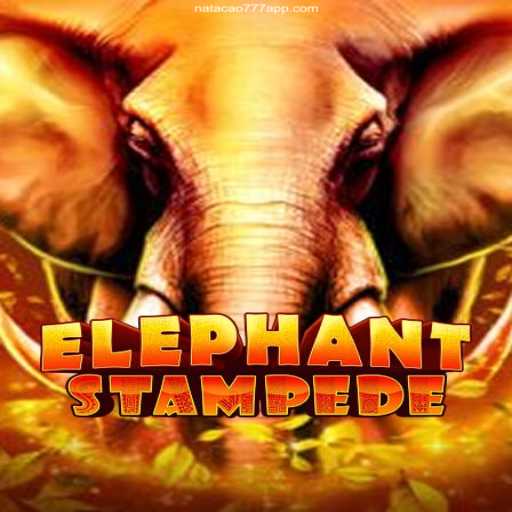 Exploring ElephantStampede: A Journey into the Wild