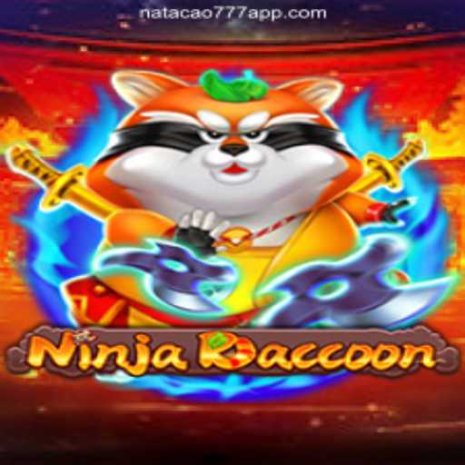 Unleashing the World of NinjaRaccoon